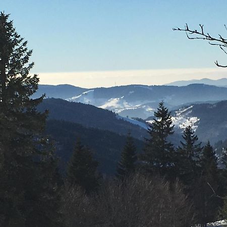 Schwarzwaldglueck Lägenhet Schluchsee Exteriör bild
