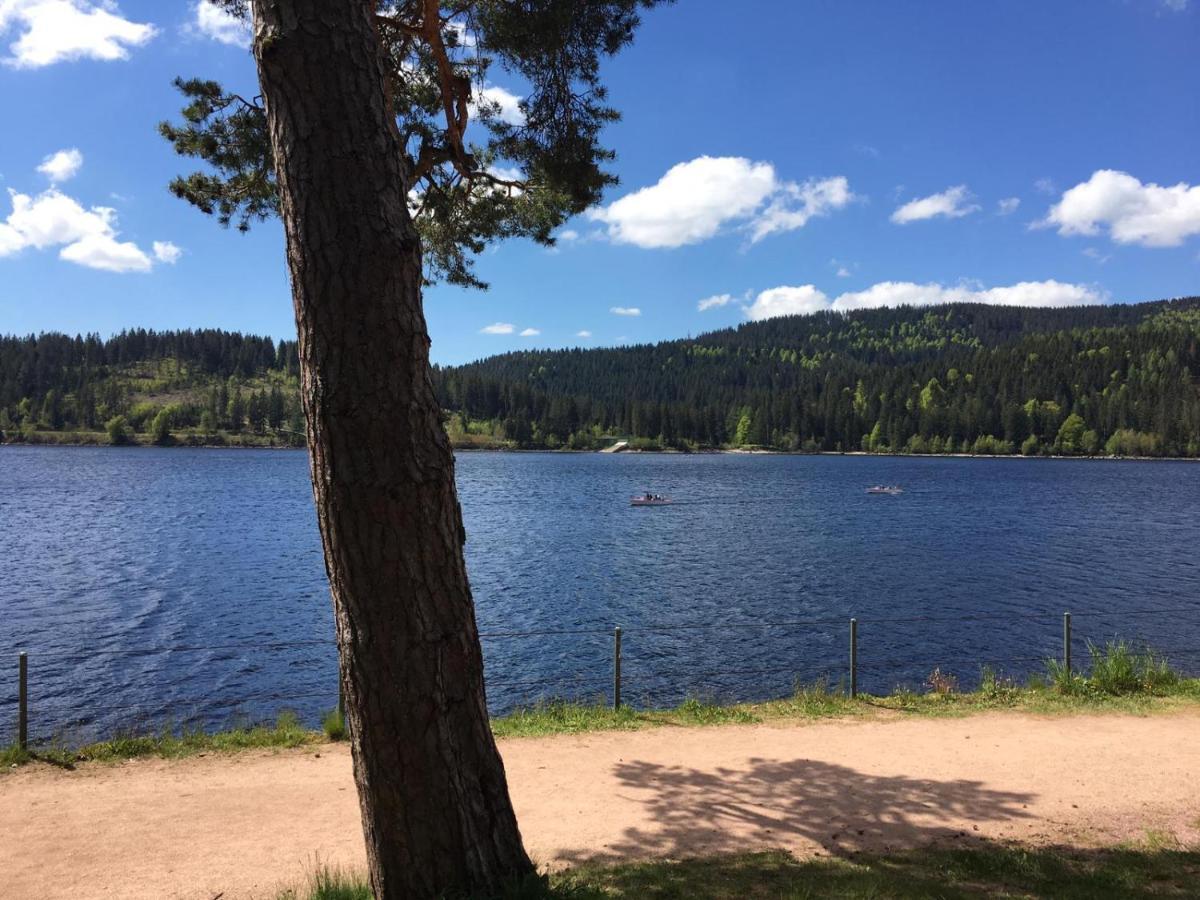Schwarzwaldglueck Lägenhet Schluchsee Exteriör bild