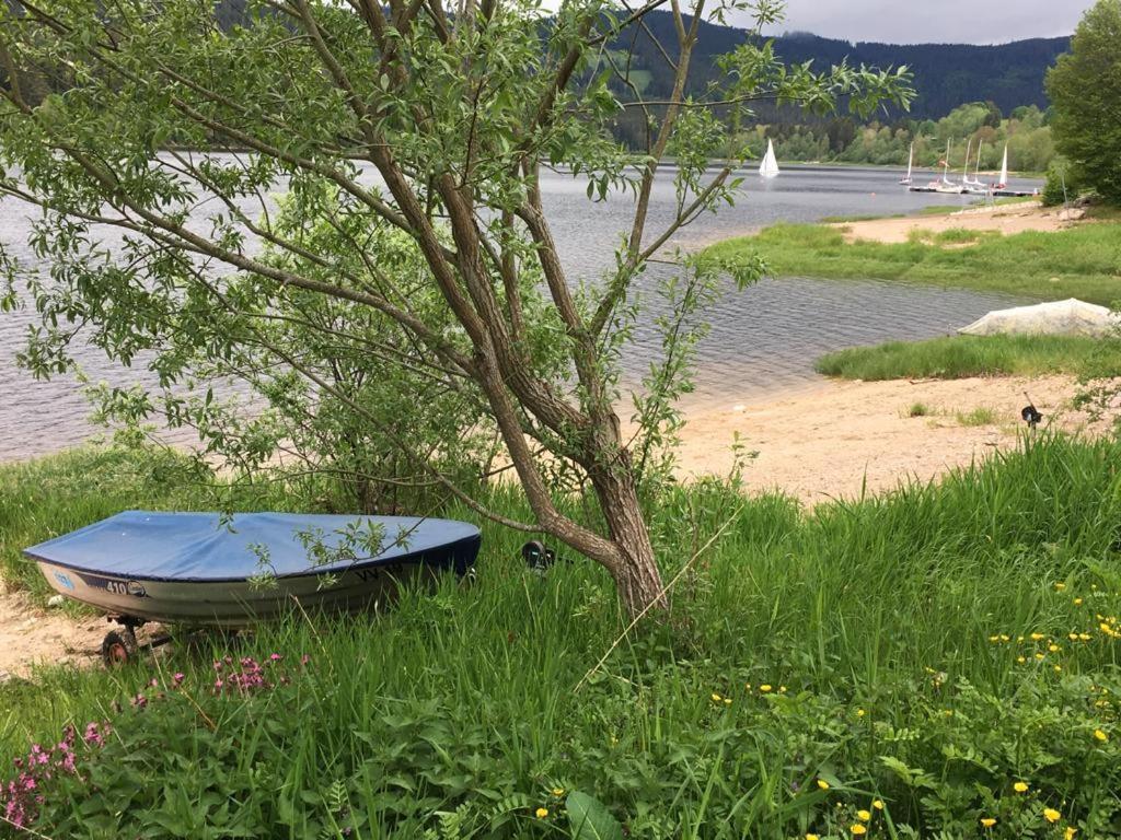 Schwarzwaldglueck Lägenhet Schluchsee Exteriör bild