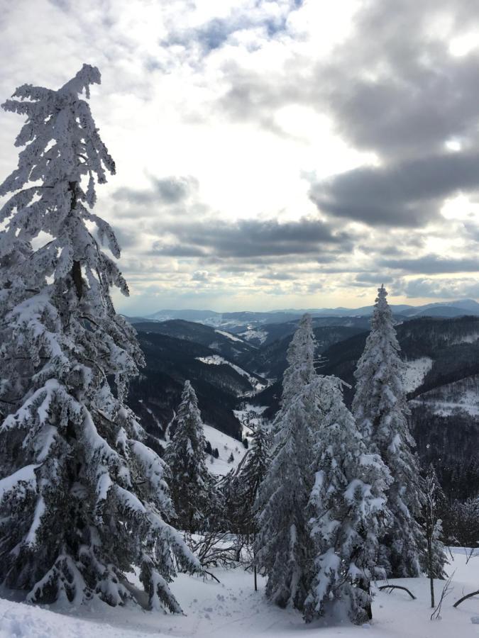 Schwarzwaldglueck Lägenhet Schluchsee Exteriör bild